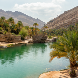 Wadi Bani Khalid Oasis